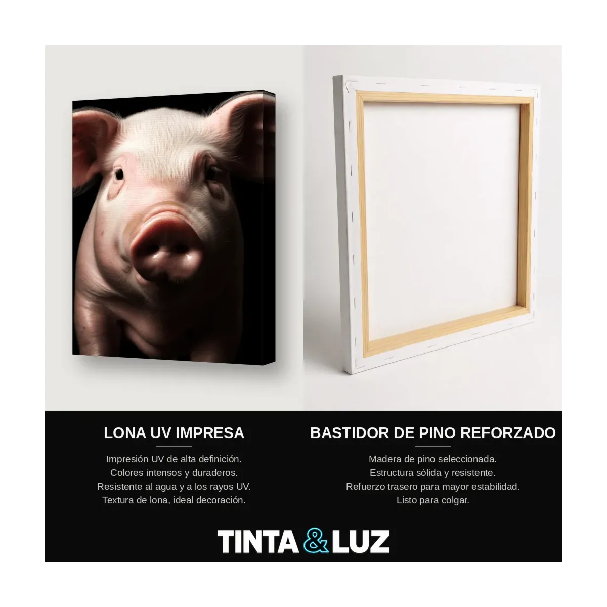 CERDO ROSADO