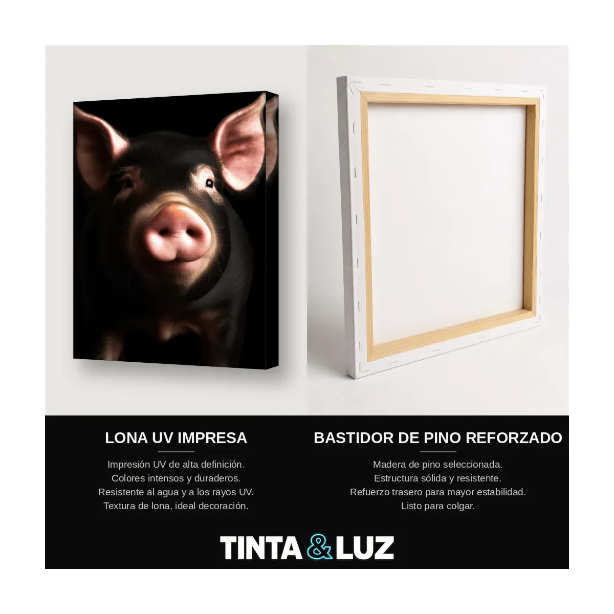 CERDO NEGRO
