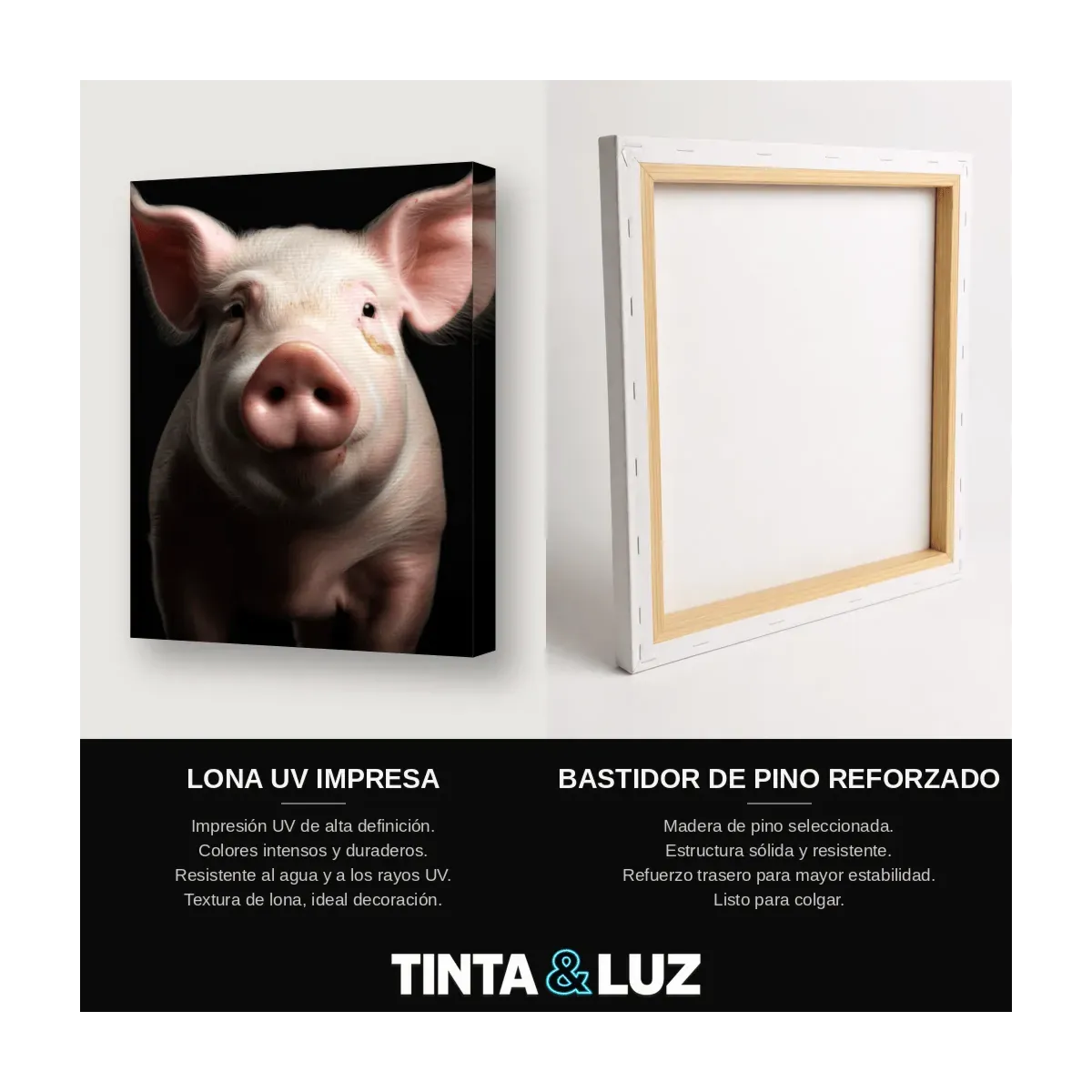 CERDO RETRATO