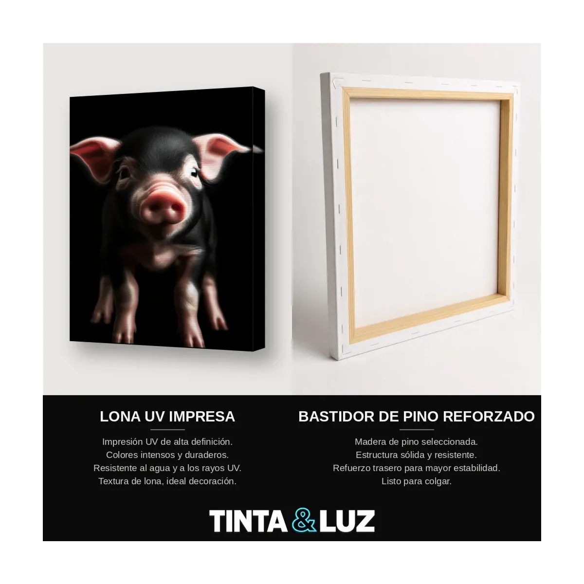 CERDITO