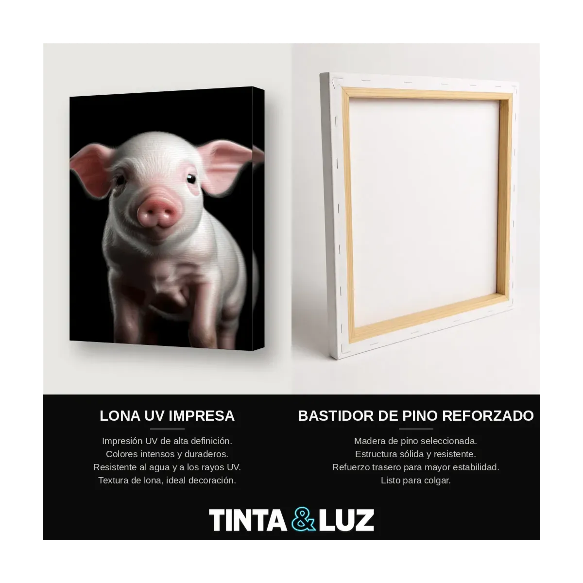 CERDITO ROSADO