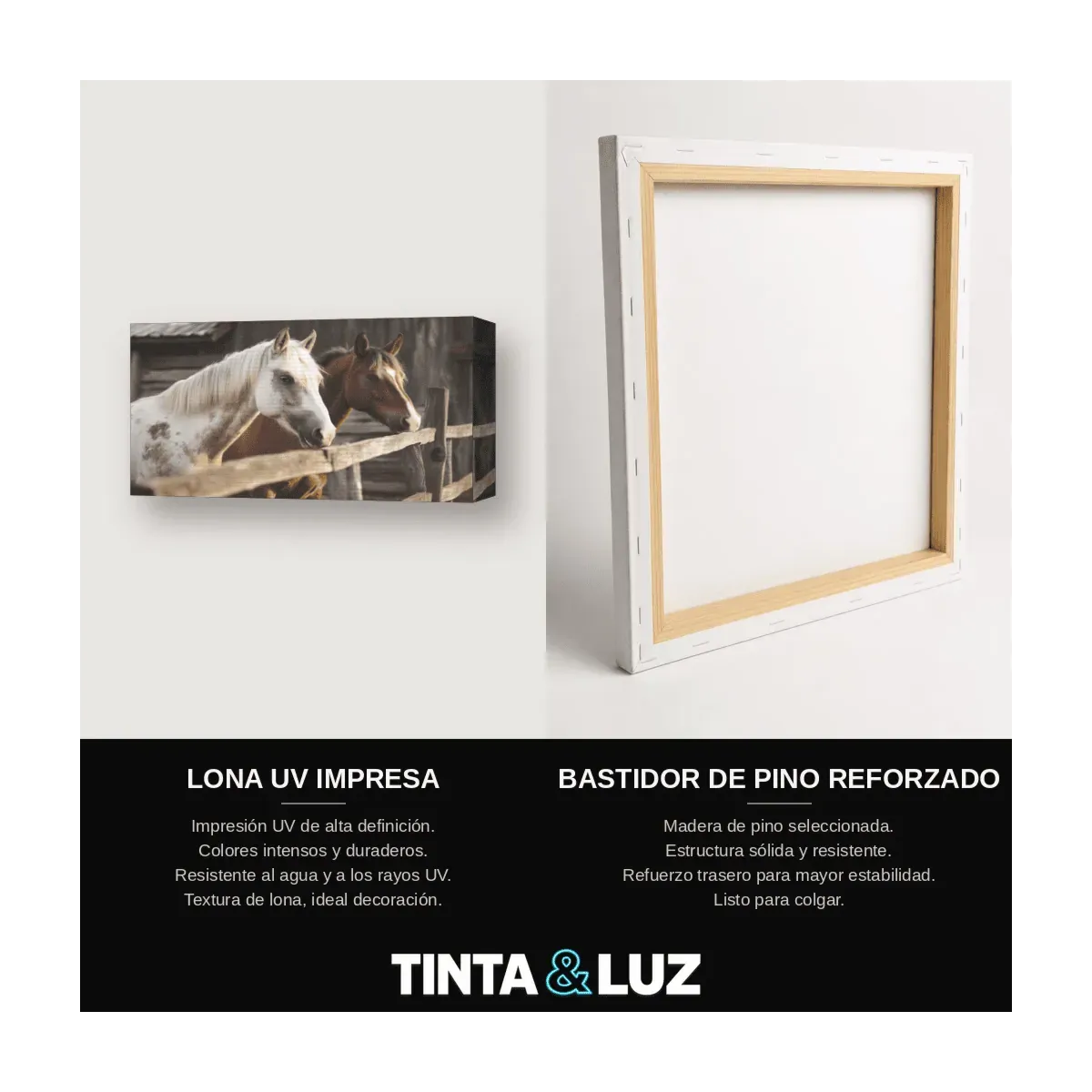CABALLO BLANCO EN LA CERCA