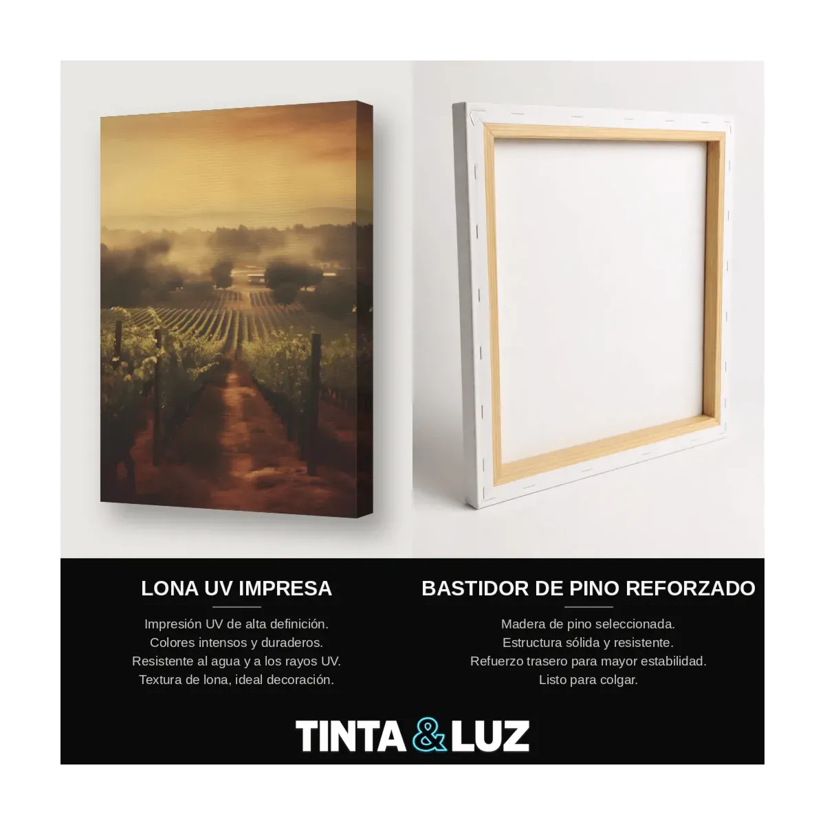 CAMPO AL ATARDECER