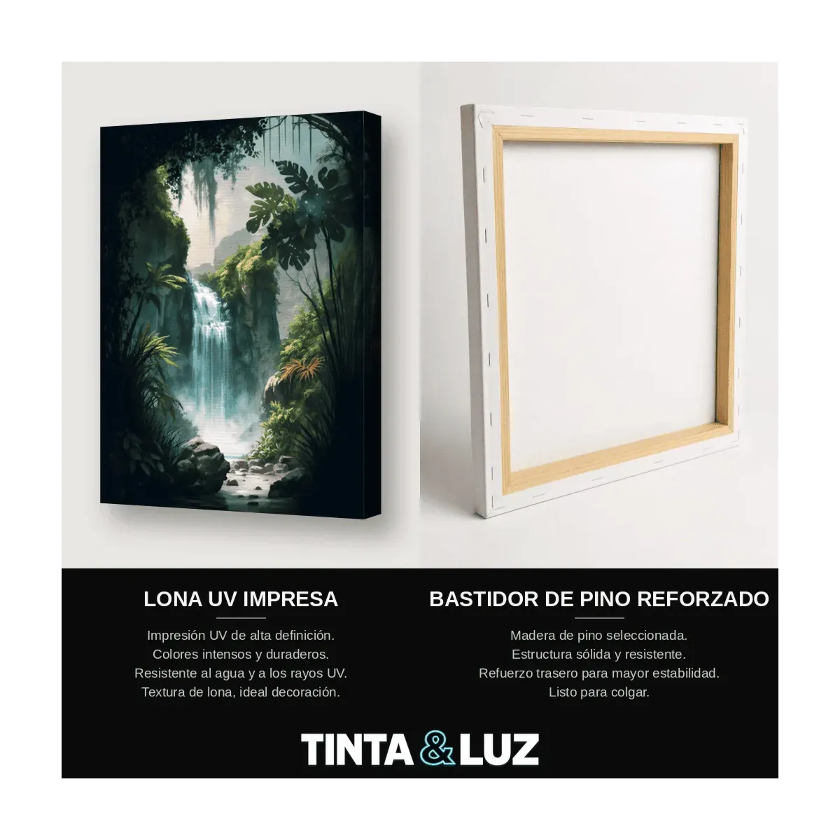 CASCADA EN LA SELVA