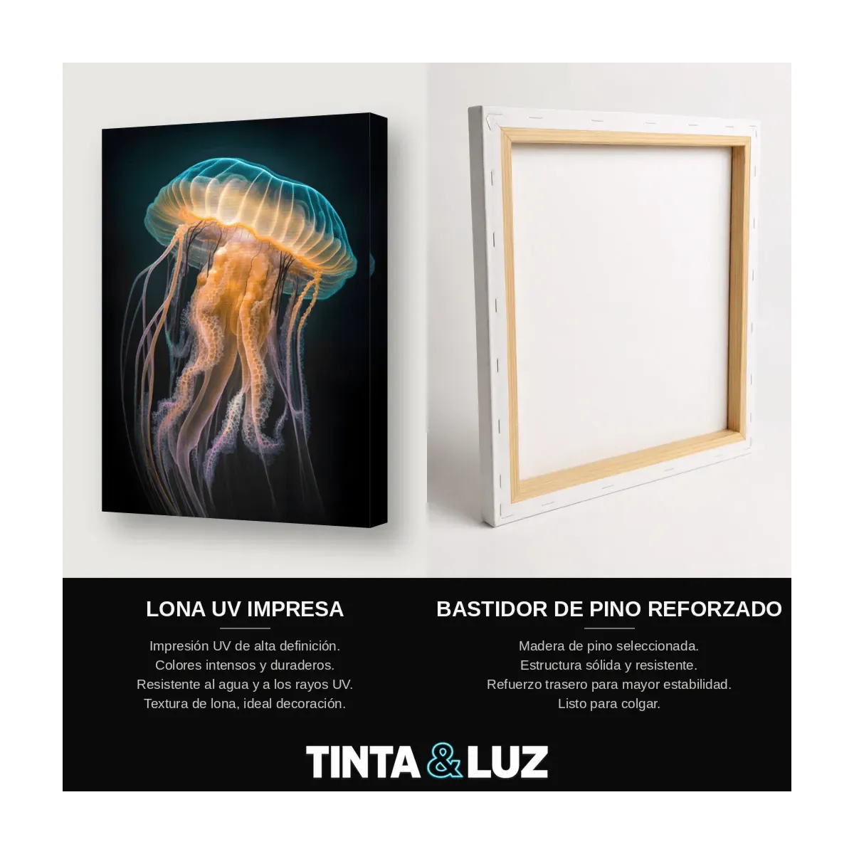 MEDUSA LUMINOSA
