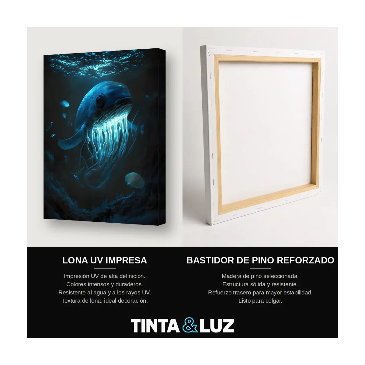 BALLENA Y CORAL