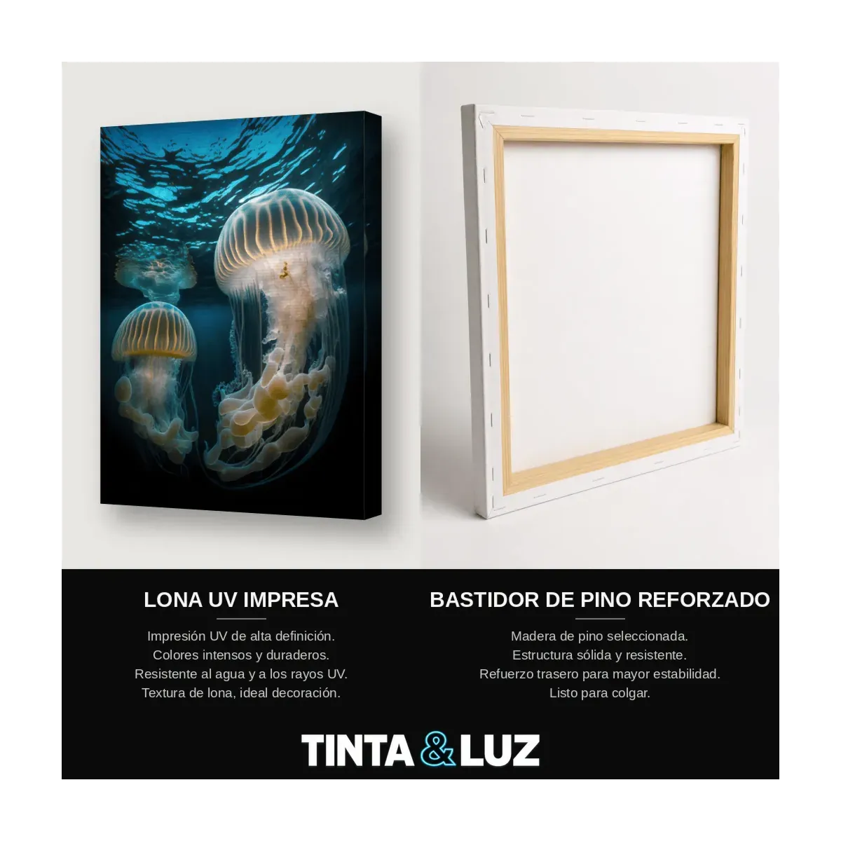 MEDUSAS DORADAS