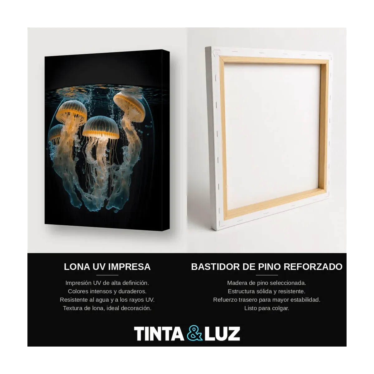 MEDUSAS LUMINOSAS