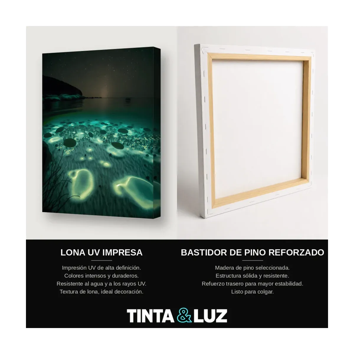 AGUAS BIOLUMINISCENTES